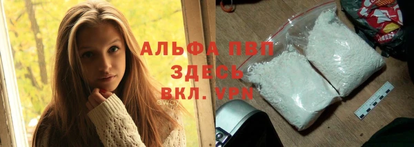 прущий лед Ельня