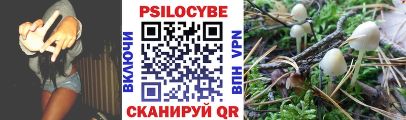 Купить где  Азнакаево  Псилоцибиновые грибы Psilocybe 
